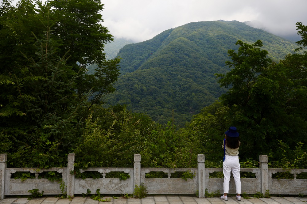 Ecological preservation improves lives in Northwest China's Shaanxi Province