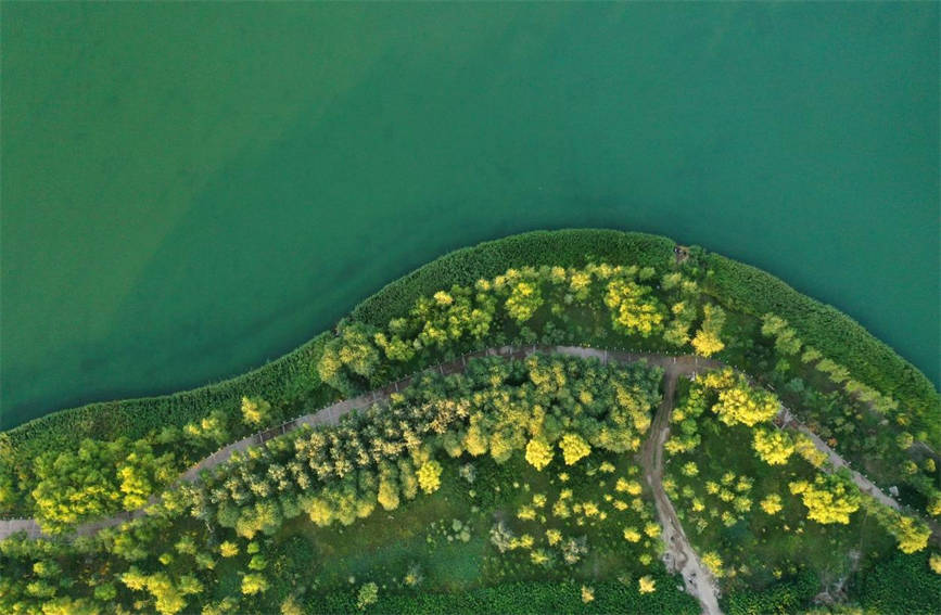 In pics: Beautiful Korla of NW China's Xinjiang in summertime