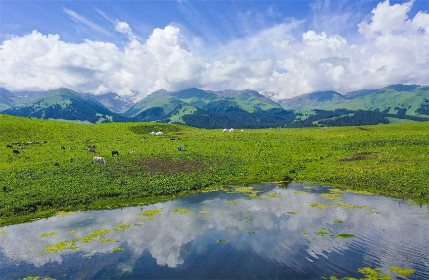 Breathtaking views of grassland in NW China’s Xinjiang
