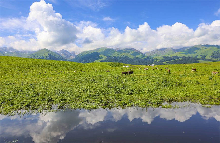 Breathtaking views of grassland in NW China’s Xinjiang
