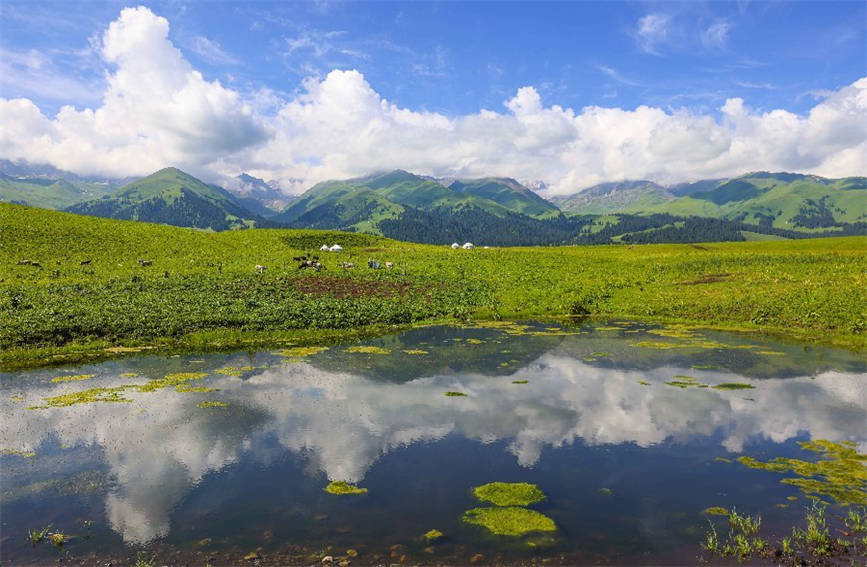 Breathtaking views of grassland in NW China’s Xinjiang