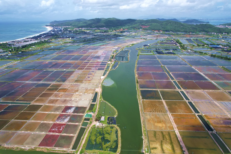 Enjoy a bird’s eye view of paint palette-like Xigang salt fields in China’s Fujian