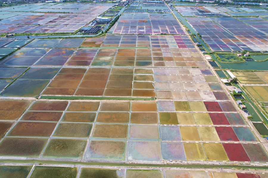 Enjoy a bird’s eye view of paint palette-like Xigang salt fields in China’s Fujian