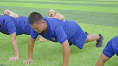 Firefighters' puppy workout partners