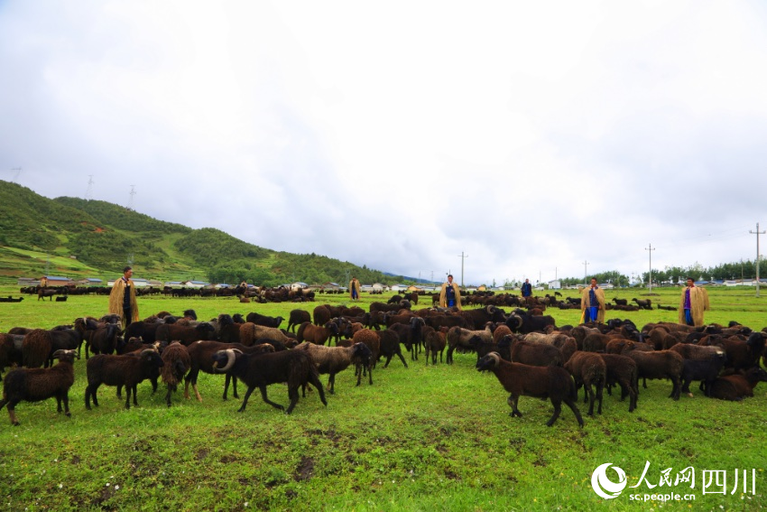 Butuo county in SW China’s Sichuan brings prosperity to local people after taking advantage of rich cultural, agricultural resources