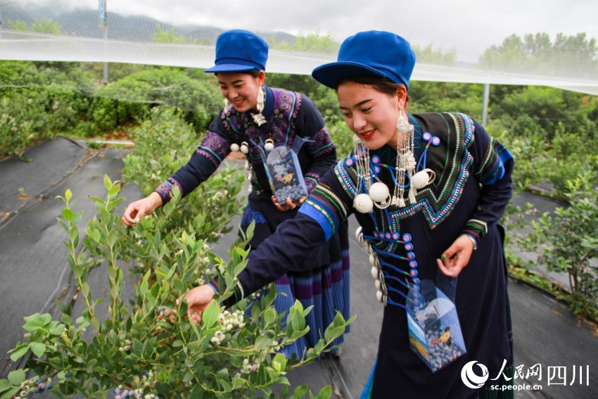 Butuo county in SW China’s Sichuan brings prosperity to local people after taking advantage of rich cultural, agricultural resources