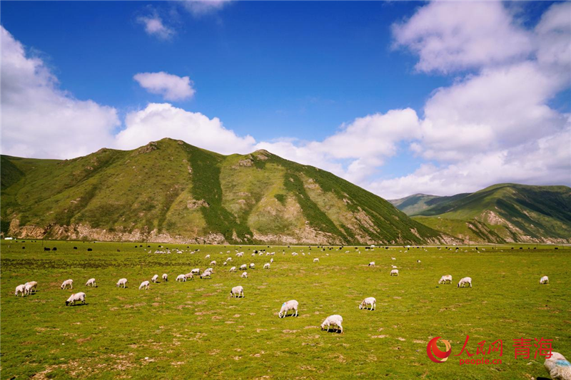 Experience natural beauty, nighttime tourism of Qilian county in NW China’s Qinghai