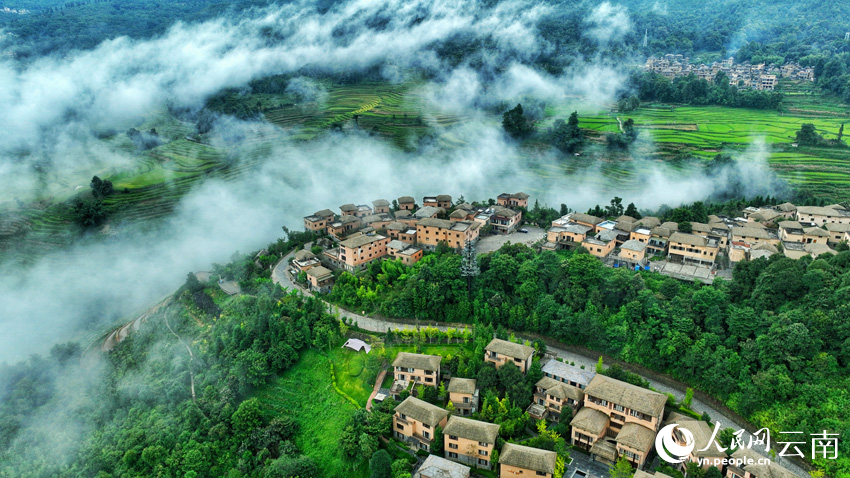 Thousand-year-old terraced fields appear like emeralds dotting mountains in SW China's Yunnan