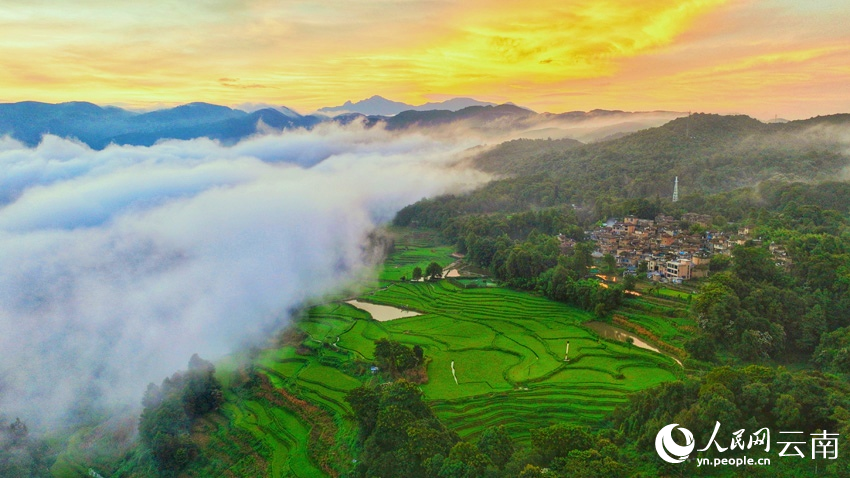 Thousand-year-old terraced fields appear like emeralds dotting mountains in SW China's Yunnan