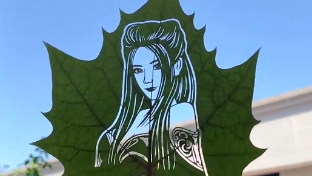 The art of leaf carving