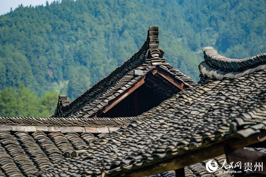 Explore picturesque Miao village in SW China's Guizhou