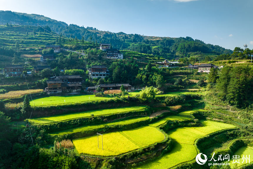 Explore picturesque Miao village in SW China's Guizhou