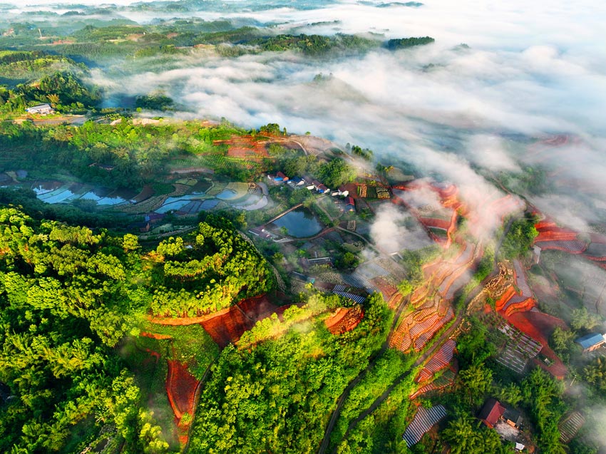 Stunning scenery of red soil terraces dazzles visitors to Rongxian in SW China