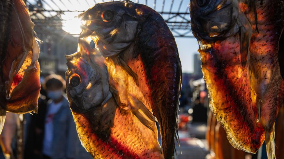In pics: Dongji fish market in Fuyuan City, China's Heilongjiang