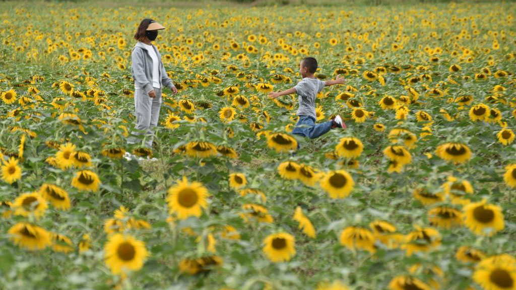 People have fun during Mid-Autumn Festival holiday