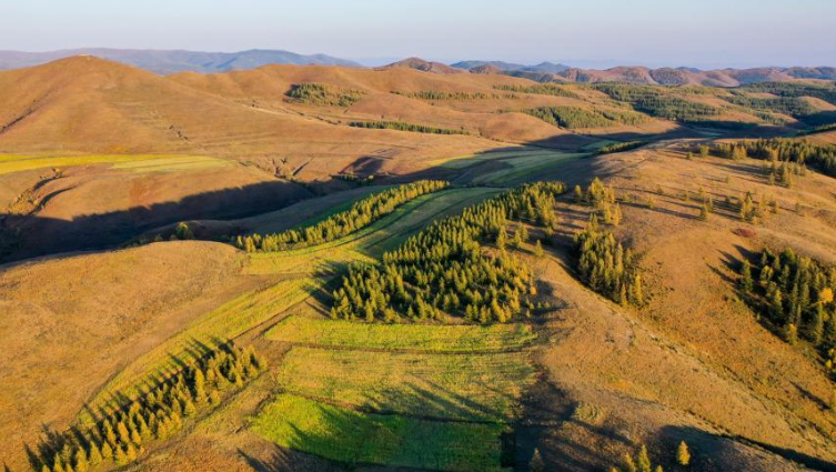 Autumn scenery of Daqing Mountain in Hohhot, north China's Inner Mongolia