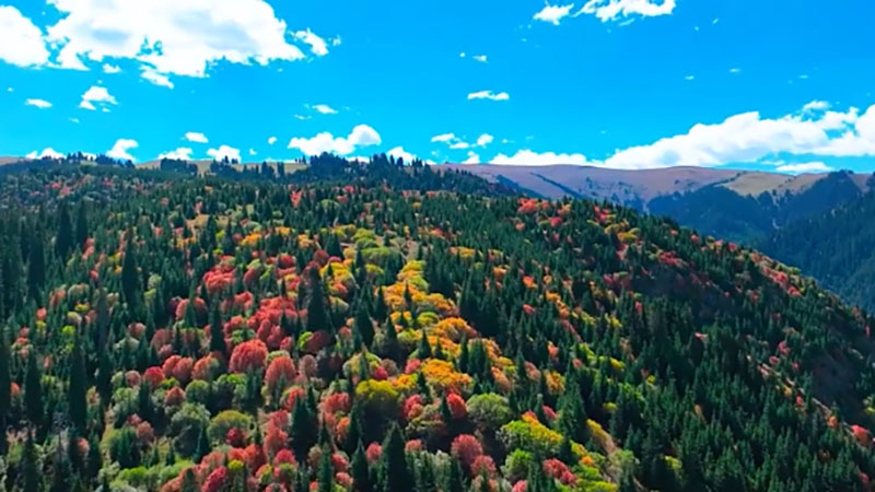 Tianshan Mountains in fall