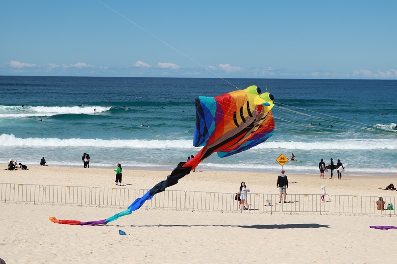 In pics: Festival of the Winds returns to Sydney Bondi Beach