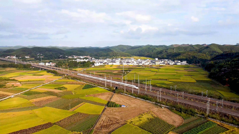 Nanning in China's Guangxi develops locally-featured industries to boost rural vitalization