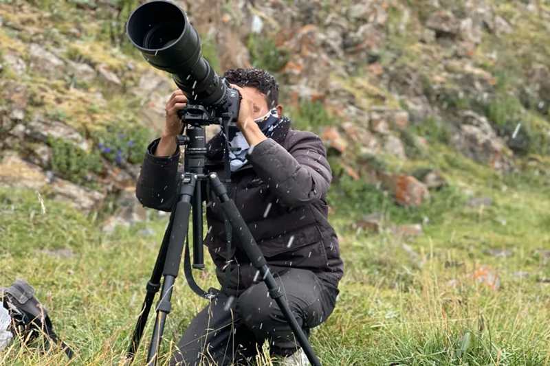 Photographer takes pictures of rare wild animals in China's Sanjiangyuan National Park