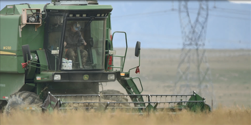 Farmers busy harvesting crops reap benefits in county in NW China's Qinghai