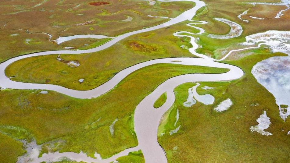 Scenery of Awancang Wetland in Gansu, NW China