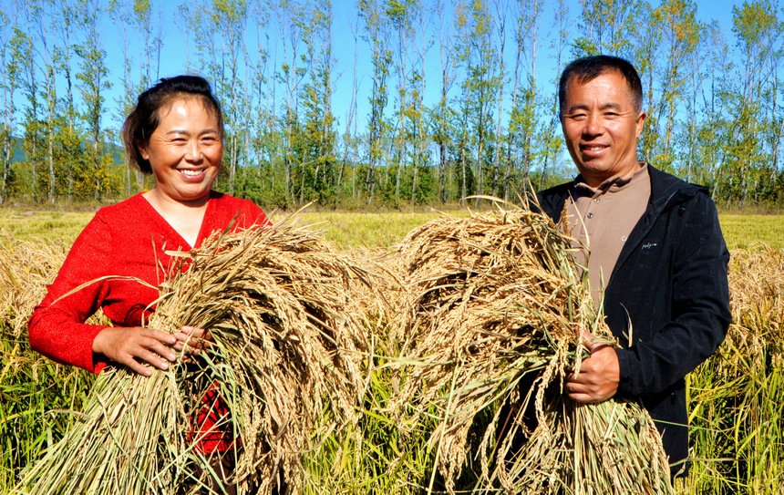 Beidahuang in NE China embraces bumper harvest