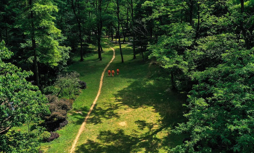 Remarkable achievements made in nature conservation over past decade