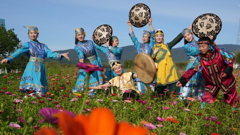 China's rural revitalization achievements over past decade in numbers