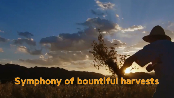 Symphony of bountiful harvests