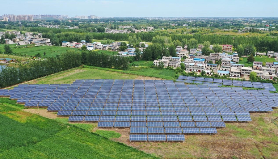 Green professions thrive as green economy develops