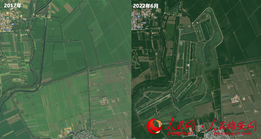 Satellite images show progress of Xiongan New Area over the past five years