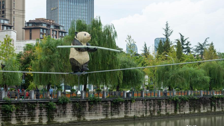 'Kungfu' panda 'walks' tightrope in Chengdu