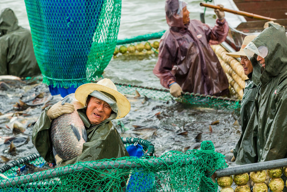 Bumper harvests bring big smiles to farmers across China