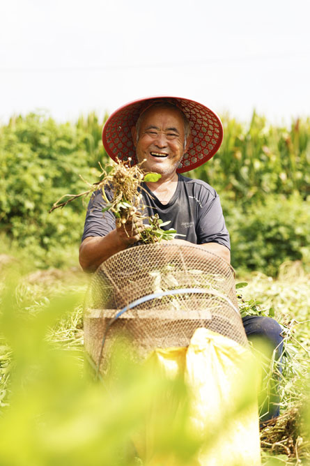 Bumper harvests bring big smiles to farmers across China