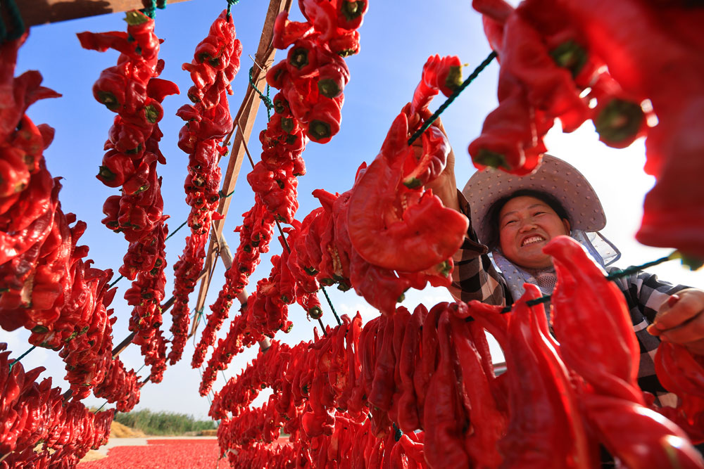 Bumper harvests bring big smiles to farmers across China