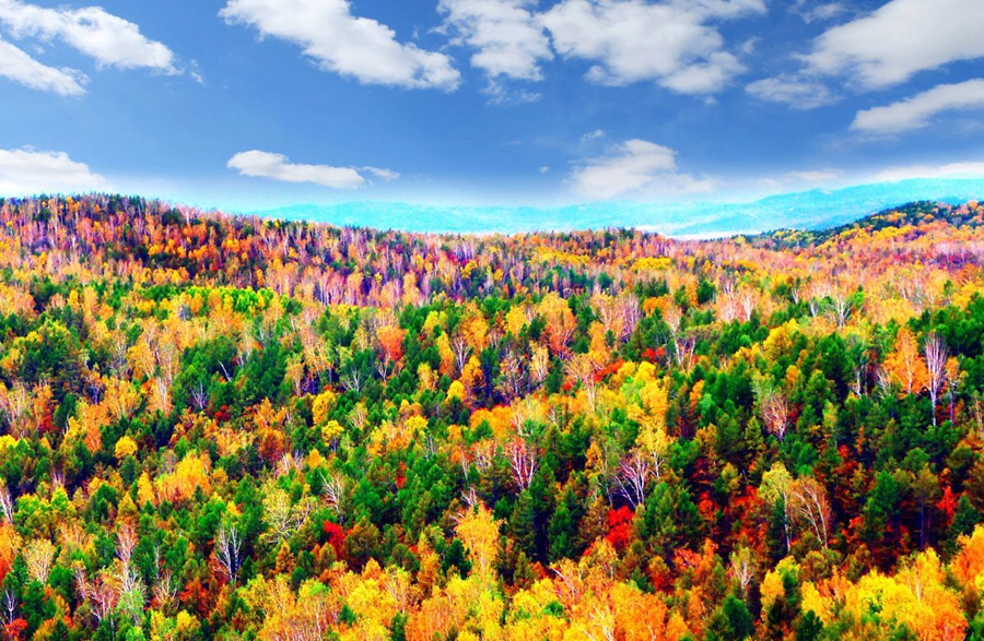 Breathtaking autumn scenery of Greater Hinggan Mountains in Inner Mongolia