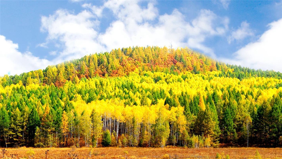 Breathtaking autumn scenery of Greater Hinggan Mountains in Inner Mongolia