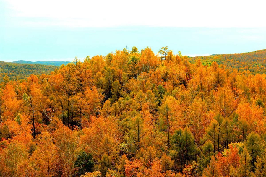 Breathtaking autumn scenery of Greater Hinggan Mountains in Inner Mongolia
