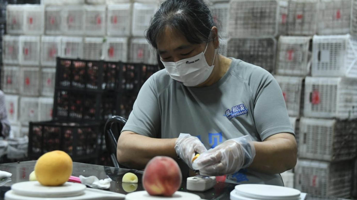 E-commerce brings peachy life for Beijing's peach farmers