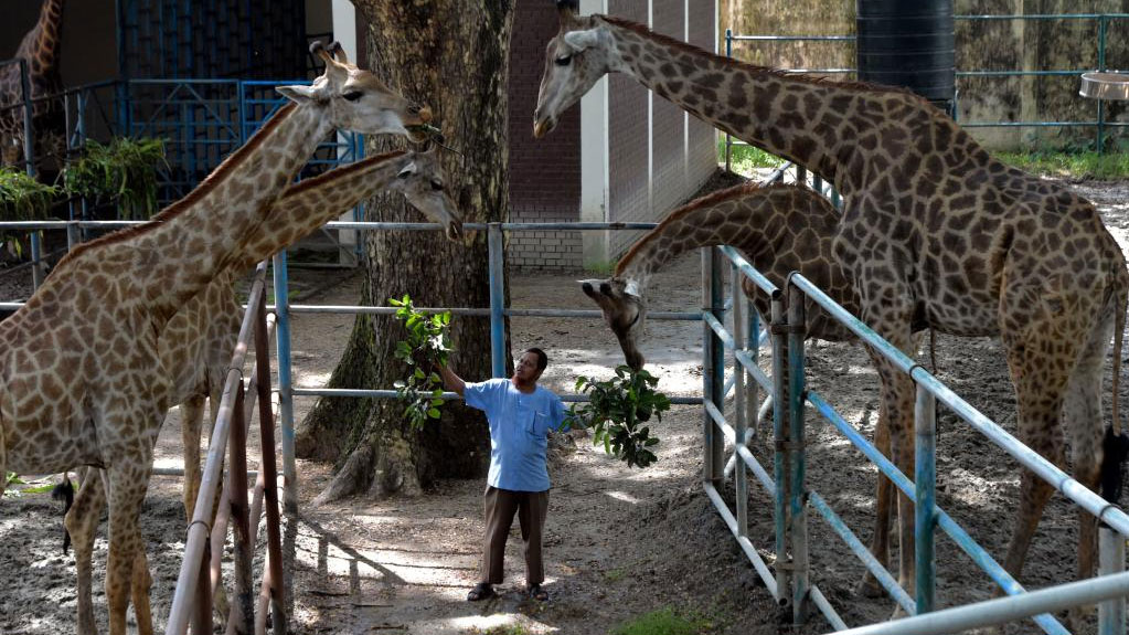 World Animal Day marked at Bangladesh National Zoo