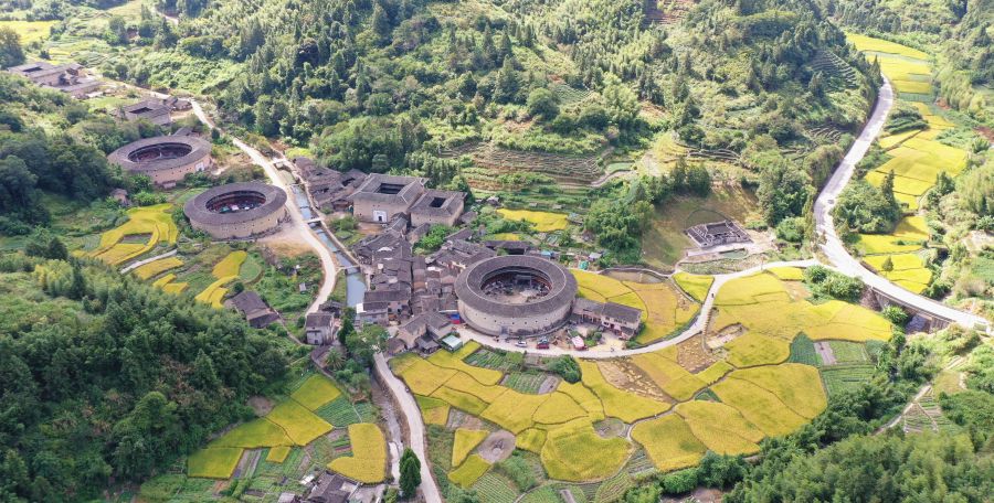 In pics: Golden rice fields and Tulou in SE China's Fujian