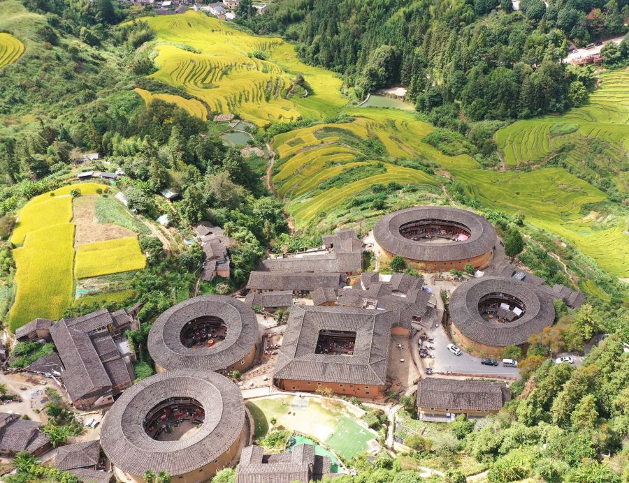 In pics: Golden rice fields and Tulou in SE China's Fujian