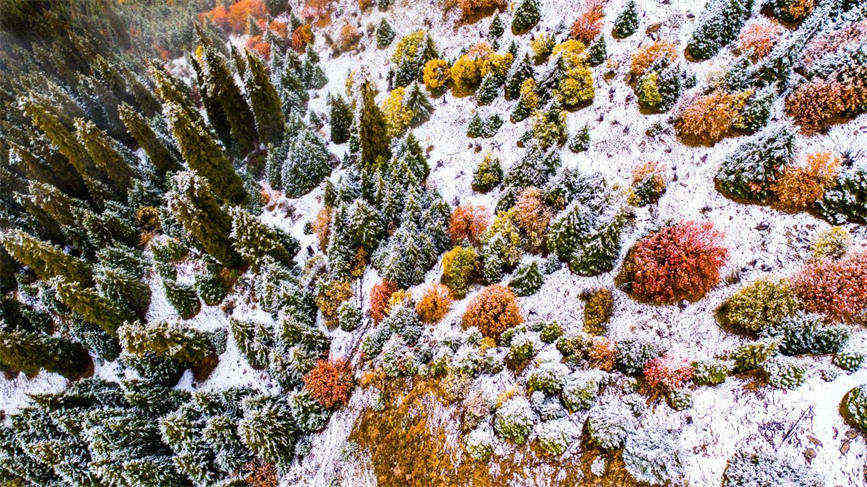 Snow turns Duolang Canyon in China's Xinjiang into 'colorful oil painting'