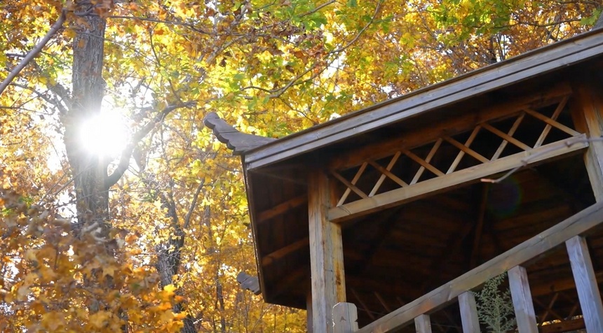 Picturesque autumn scenery in NE China's Heilongjiang