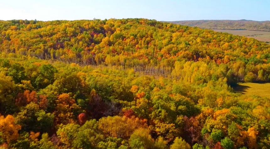 Picturesque autumn scenery in NE China's Heilongjiang