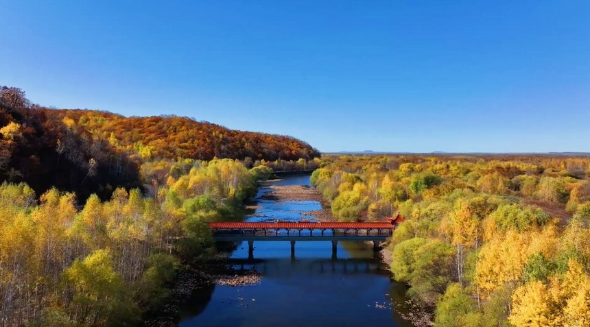 Picturesque autumn scenery in NE China's Heilongjiang