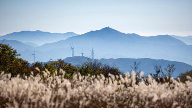 Autumn scenery of Gwangju, South Korea