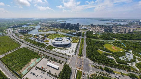 Shanghai's Lingang new area expands opening-up