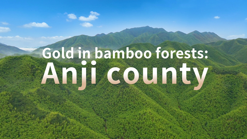 Gold in bamboo forests: Anji county